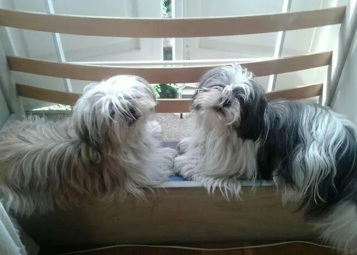 -morc-beds & Rooms- * Pontevedra